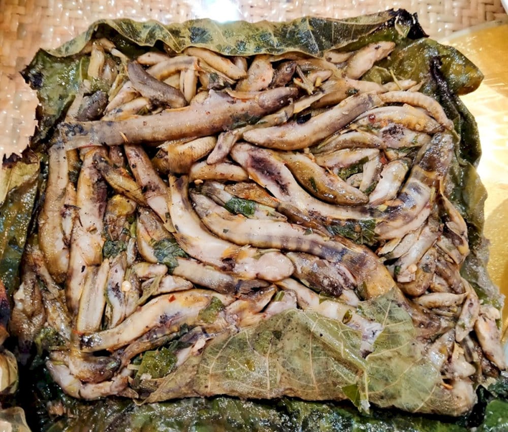 Cá bống vùi gio